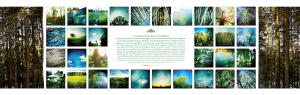 Foret-3