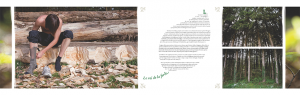 Foret-4
