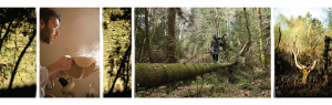 Foret-6