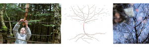 Foret-8